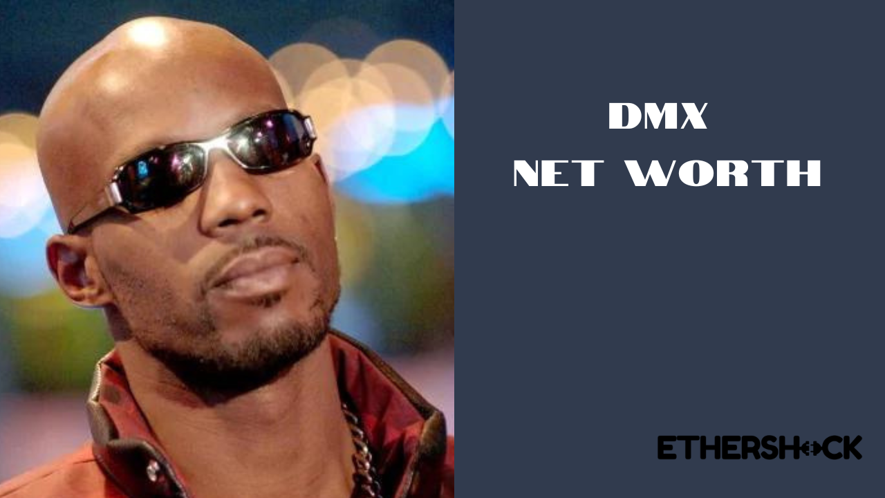 dmx net worth