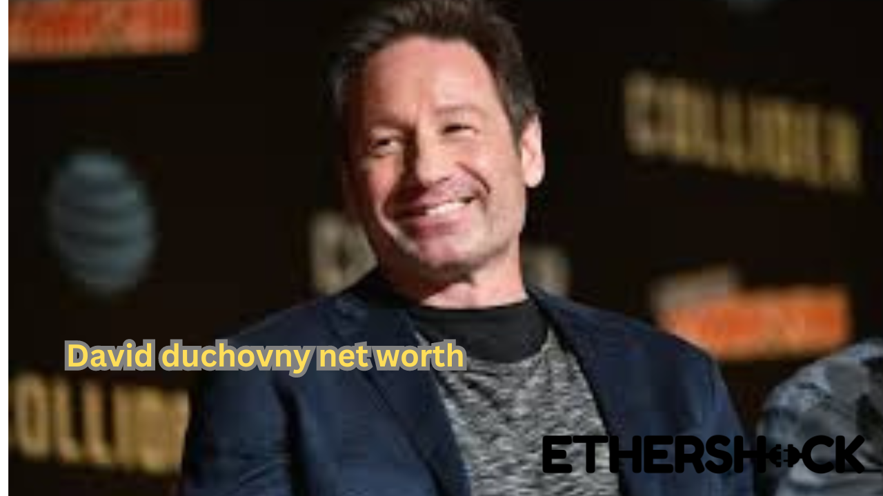 David duchovny net worth